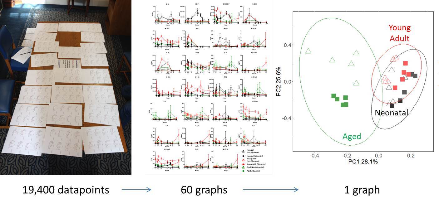 How to turn 19,000 data points into 1 graph.